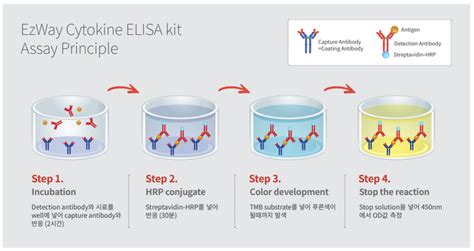 elisa kit manual|elisa kit for cytokine.